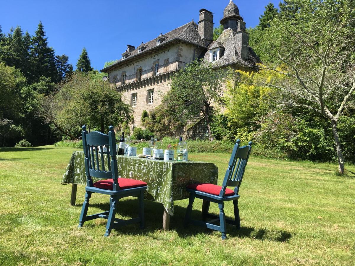B&B Chateau Le Bois Saint-Julien-aux-Bois Buitenkant foto