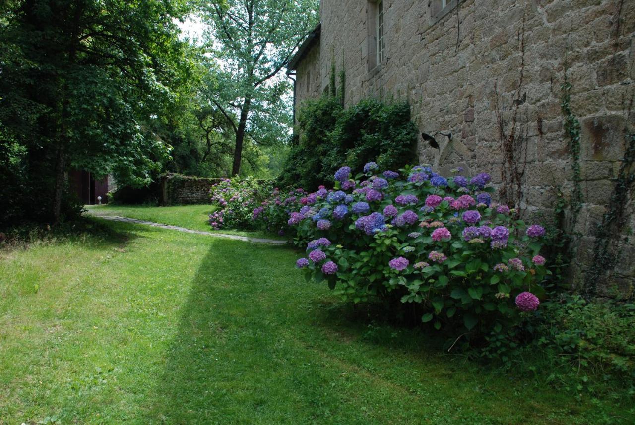 B&B Chateau Le Bois Saint-Julien-aux-Bois Buitenkant foto